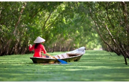 Tour Bến Tre uy tín